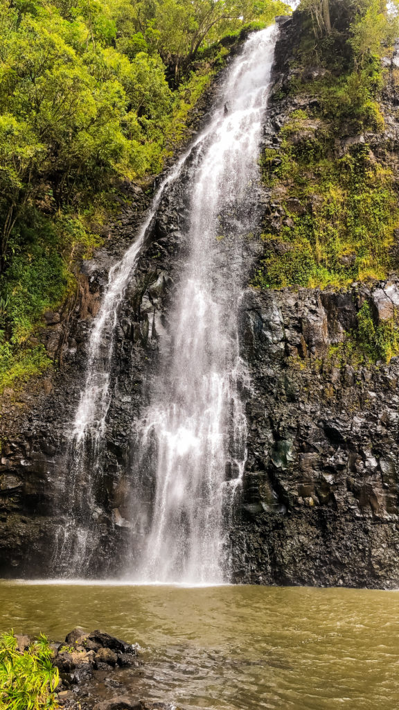 ‘Opaeka’a Falls Hike on Kauai - Travel Like Brad